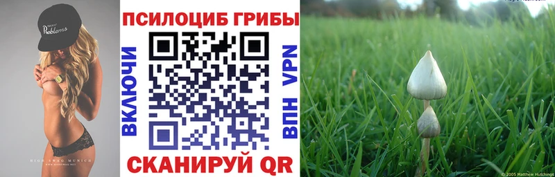 Галлюциногенные грибы GOLDEN TEACHER  Купить закладки  Череповец 